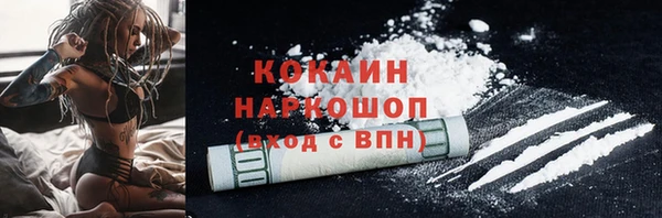 мдпв Кулебаки
