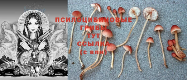 мдпв Кулебаки